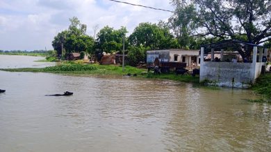 Ambedkar Nagar News: Water level of Ghaghra river started rising, problems of villagers increased, water entered many villages and houses