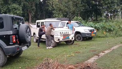 Bihar News: Forest officials were shocked after a leopard's carcass was found in VTR's Madanpur forest area  