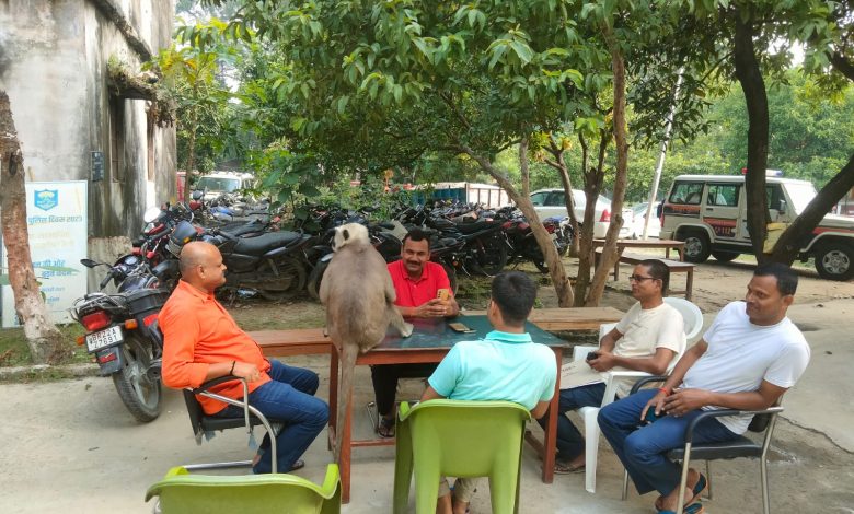 Bihar news is from Bagaha where the terror of monkeys has increased, a monkey did not spare even a policeman, targeted the SI