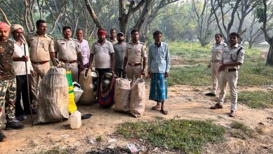Bihar news: Large quantity of foreign and domestic liquor recovered under central prohibition campaign, 31 traders arrested