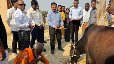 Prayagraj News: Govardhan festival was celebrated with great pomp in the cow shelters of the state  