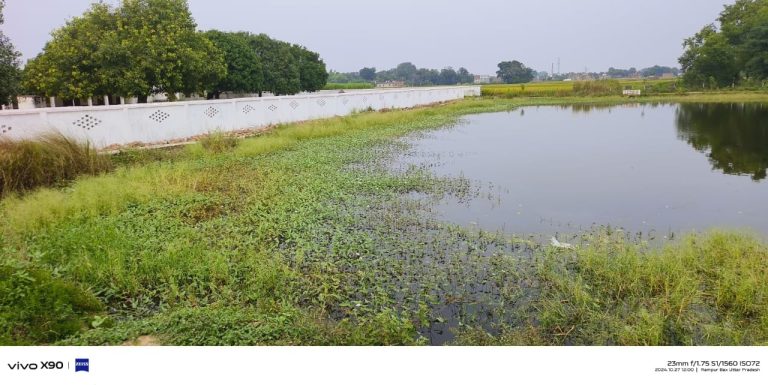 Ambedkar Nagar News: Chhath festival is near, lakes are not cleaned