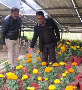 Mahakumbha Nagar Prayagraj: Kumbh area will be decorated with seasonal flowers and beauty enhancing trees and plants-Dr VB Dwivedi


