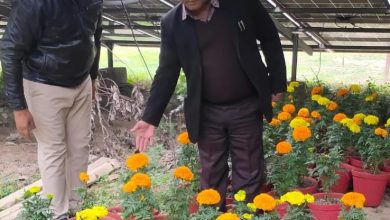Mahakumbha Nagar Prayagraj: Kumbh area will be decorated with seasonal flowers and beauty enhancing trees and plants-Dr VB Dwivedi