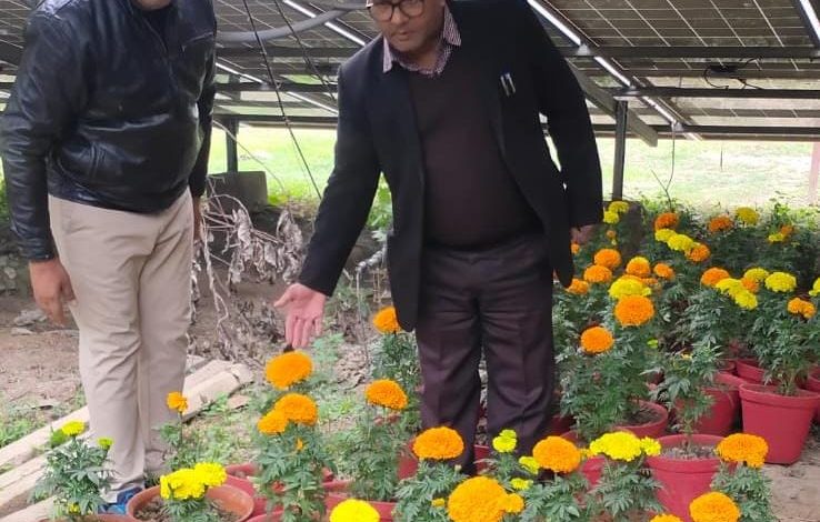 Mahakumbha Nagar Prayagraj: Kumbh area will be decorated with seasonal flowers and beauty enhancing trees and plants-Dr VB Dwivedi
