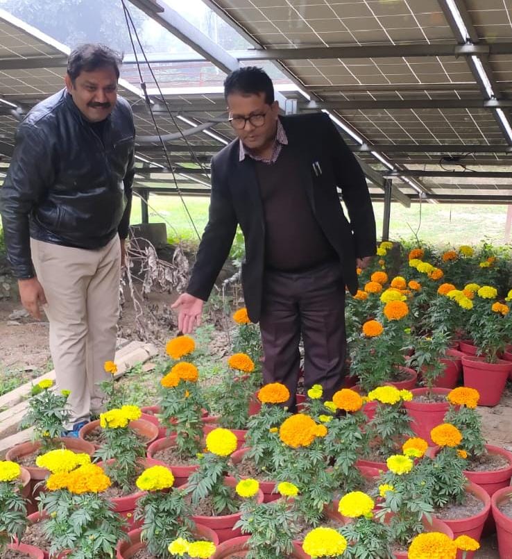 Mahakumbha Nagar Prayagraj: Kumbh area will be decorated with seasonal flowers and beauty enhancing trees and plants-Dr VB Dwivedi