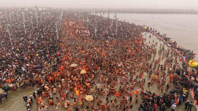 Mahakumbha Nagar Prayagraj: Chief Minister is taking moment-to-moment updates from his Gorakhpur tour on Mahakumbh 2025 Amrit Snan festival