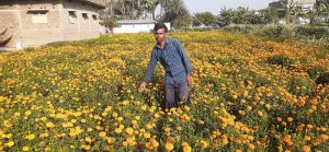Bihar News-Rajapakar-- Various flowers like marigold, cherry, China Mogra are cultivated in ward number 7 of Narayanpur Buzurg Panchayat of the block area.