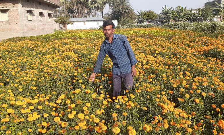 Bihar News-Rajapakar-- Various flowers like marigold, cherry, China Mogra are cultivated in ward number 7 of Narayanpur Buzurg Panchayat of the block area.