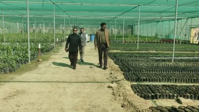 Prayagraj News: Mother plants of guava species increased in Khusro Bagh - Dr. BV Dwivedi