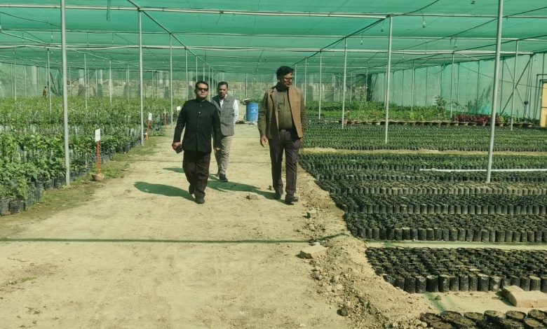 Prayagraj News: Mother plants of guava species increased in Khusro Bagh - Dr. BV Dwivedi