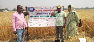 Bihar News:- Hajipur--- Data was collected by crop cutting and weighing of wheat and other crops.