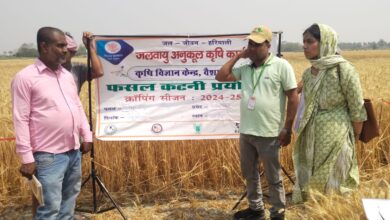 Bihar News:- Hajipur--- Data was collected by crop cutting and weighing of wheat and other crops.