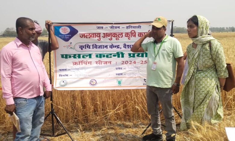 Bihar News:- Hajipur--- Data was collected by crop cutting and weighing of wheat and other crops.