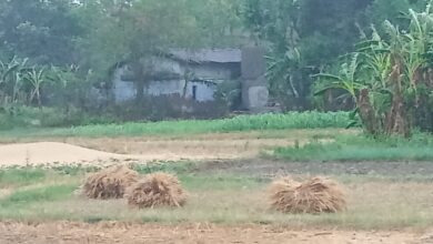 Bihar News:-राजापाकर-- तेज आंधी और बारिश ने बढ़ाई किसानों की धड़कनें