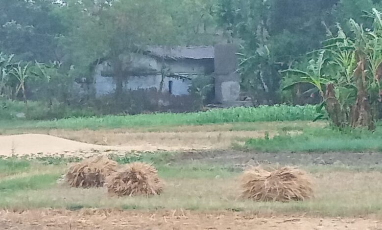 Bihar News:-राजापाकर-- तेज आंधी और बारिश ने बढ़ाई किसानों की धड़कनें