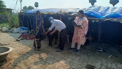 Bihar News-Rajapakar-- Vaccination against brucellosis, an infectious disease that affects animals, is being done in all the panchayats of the block area by Rajapakar Veterinary Hospital.