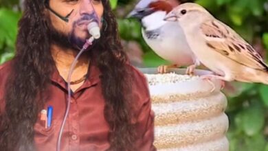 Agra News : Tree Man's warning: "Save nature, otherwise destruction is certain"