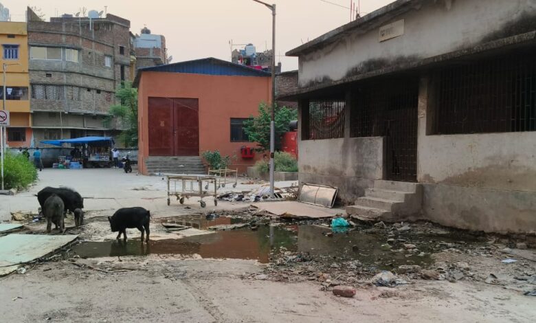 Bihar News The plight of Bettiah GMCH, built at a cost of 850 crores, exposed: Piles of garbage near the post-mortem house, toilet water flowing in the premises
