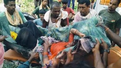 BiharNews खेत मे काम कर रहे किसान पर जंगली भैसा गौर का हमला इलाज के दौरान घायल महिला की हुई मौत