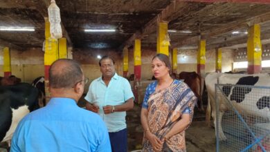 Bihar News A new cow rearing shed will be constructed at a cost of Rs 14.90 lakh in the historic Pinjrapol Gaushala complex: Garima