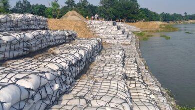 BiharNews Conscious efforts for flood protection: Anti-erosion works were carried out at 13 sites in West Champaran