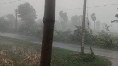 Bihar News-Rajapakar- Strong storm and rain in the block area brought a change in the weather