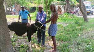 Bihar News- Rajapakar Animal and Fisheries Resources Department is going door to door to the cattle owners in all the panchayats of the block area to vaccinate them free of cost for the Lumpi disease in cows.
