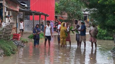 Bihar News-Rajapakar- - Villagers protested against waterlogging on the road