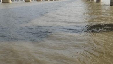 Prayagraj News: Flood scenario in Prayagraj district on 24 July