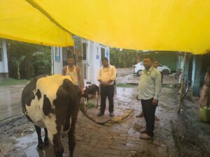 Bihar News-Rajapakar--- Animal health camp was organized by Mobile Veterinary Unit Bhan in Sahdullahpur Panchayat

