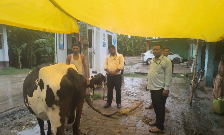 Bihar News-Rajapakar--- Animal health camp was organized by Mobile Veterinary Unit Bhan in Sahdullahpur Panchayat