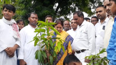 Bihar News-Rajapakar-- A tree plantation program was organized in the campus of Government Gorakhnath Suraj Dev Higher Secondary School located in Baikunthpur Panchayat