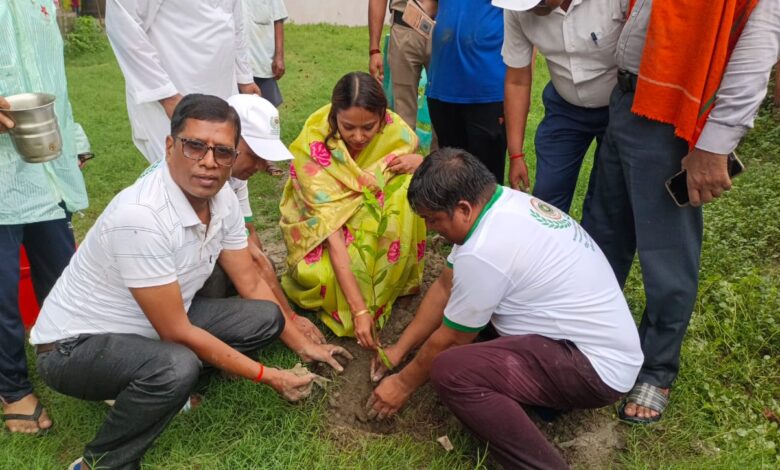 Bihar News A good initiative, 100 plants were planted in the Children's Park located at Uttarwari Pokhara in the city.
