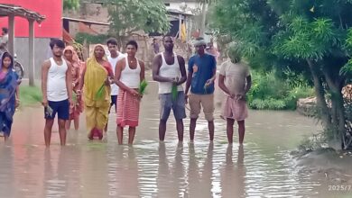 Bihar News-Rajapakar--- Life has been disrupted due to the torrential rain in the block area for the last several days