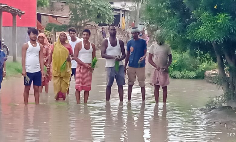 Bihar News-Rajapakar--- Life has been disrupted due to the torrential rain in the block area for the last several days
