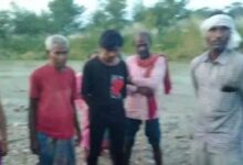 Bihar News- वीटीआर क्षेत्र में मवेशी चराती वृद्ध महिला पर बाघ का हमला, ग्रामीणों में दहशत