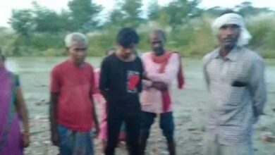 Bihar News- वीटीआर क्षेत्र में मवेशी चराती वृद्ध महिला पर बाघ का हमला, ग्रामीणों में दहशत