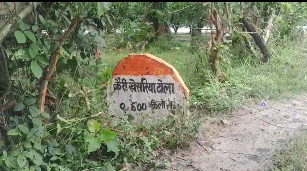 Bihar News: Tiger makes another villager its prey, for how long will villagers continue to be prey to tigers?