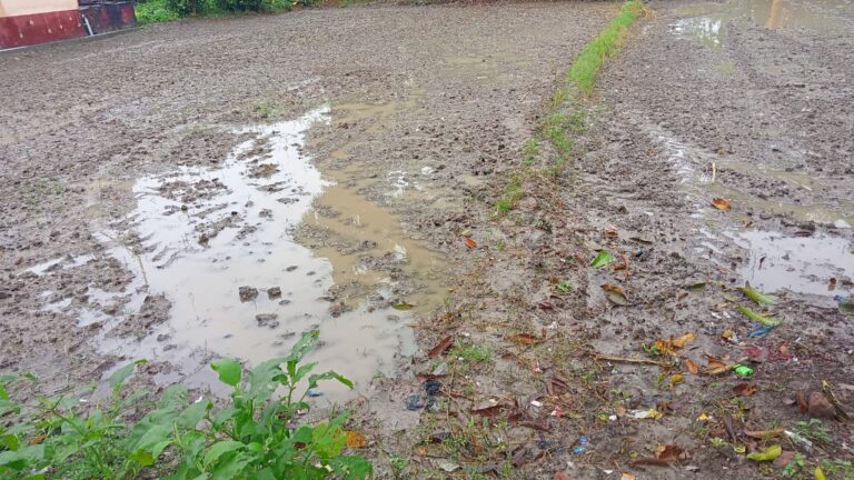 Bihar News- प्रखंड क्षेत्र में मोथा तुफान ने असर दिखाया और गुरुवार को सुबह हुई रिमझिम बारिश होने से जन जीवन वयस्त हो गया 