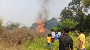 Bihar News- Due to fire in the Ikri field in Ward No. 3 of Rajapakar Southern Panchayat, Ikri crops spread over about two acres were burnt to ashes.
