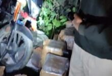 Bihar News- Based on secret information, the police station chief recovered 576 bottles of illegal foreign liquor from a poultry farm.