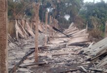 Bihar News - On Monday night, some anti-social elements set fire to a poultry farm in Pachai Jagdish, Ward Number 6, in the police station area.