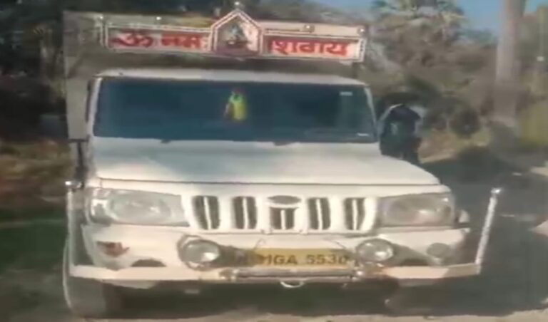 राजापाकर में बेखौफ चोरों का आतंक, दो गांवों से दो भैंस चोरी, CCTV से खुलासा