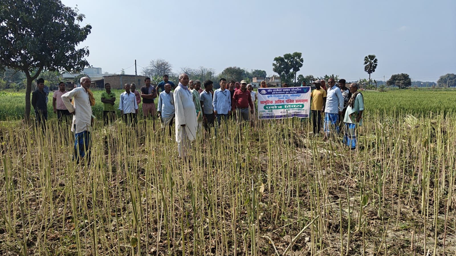 कृषि विज्ञान केन्द्र वैशाली में प्रक्षेत्र दिवस आयोजित, किसानों को सरसों की उन्नत किस्म ‘राजेन्द्र सुफलम-1’ की जानकारी