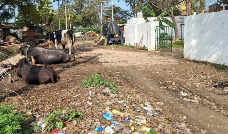 WhatsApp Image 2026-02-03 at 11.52.26 AM