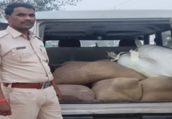 राजापाकर में पुलिस द्वारा 600 लीटर अवैध देसी शराब बरामद