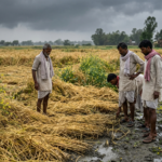 Gemini_Generated_Image_h0szfdh0szfdh0sz