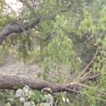 Screenshot_20260321_113856_Gallery