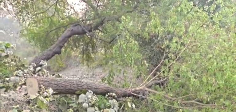 Screenshot_20260321_113856_Gallery